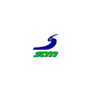 LOGO SCM