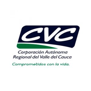 LOGO CVD